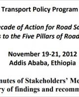Steps to the Five Pillars of Road Safety