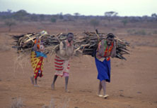 Mainstreaming Gender in Transport -- A Resource Guide