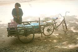 Photograph by Upali Pannilage ©
