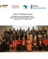 3rd ARSO Workshop in Marrakesh: Towards the Establishment of a Road Safety Observatory in Africa