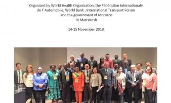 Workshop for Outlining Strategies for Collecting and Improving Data on Road Traffic Deaths in Africa
