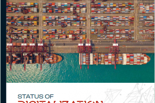 Status of Digitalization and Policy Impediments in African Ports