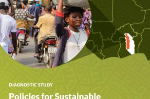 Policies for sustainable mobility and accessibility in urban areas of Togo - Diagnostic Study