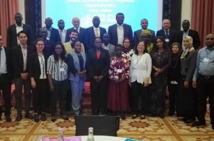 Rapport de l'atelier portant sur l'amélioration de l'enregistrement à l'Etat Civil et  des statistiques de l'Etat Civil: Mortalité due aux accidents de la route en Afrique
