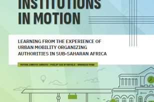 Institutions in Motion: Learning from the Experience of Urban Mobility Organizing Authorities in Sub-Saharan Africa