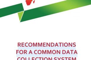Recommendations for a Common Data Collection System and Definitions