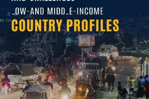 Guide for Road Safety Opportunities and Challenges: Low- and Middle-Income Country Profiles