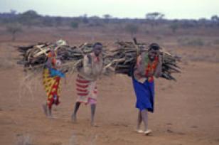 Mainstreaming Gender in Transport -- A Resource Guide