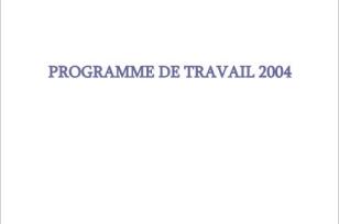Programme de travail 2004 du SSATP