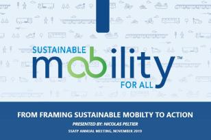 Sustainable Mobility for All (SUM4All): From Framing Sustainable Mobility to Action