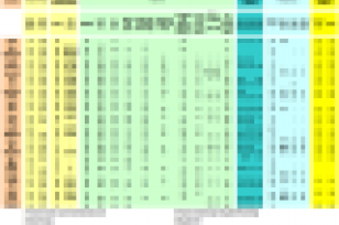 RMI Matrix-PDF Format