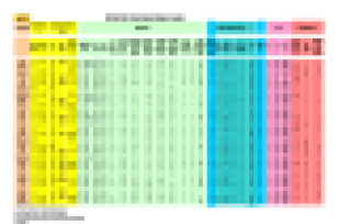 RMF Matrix --PDF Format