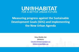 Measuring Progress Against the Sustainable Development Goals (SDGs) and Implementing the New Urban Agenda