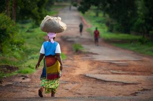 Renforcement du cadre de politique sur le transport rural en Ouganda et au Nigéria