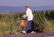 Man using bicycle to carry grass in Hungary