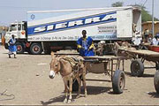 Donkey carts distributing goods imported by lorry in Mauritania