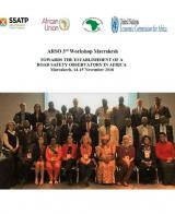 3rd ARSO Workshop in Marrakesh: Towards the Establishment of a Road Safety Observatory in Africa